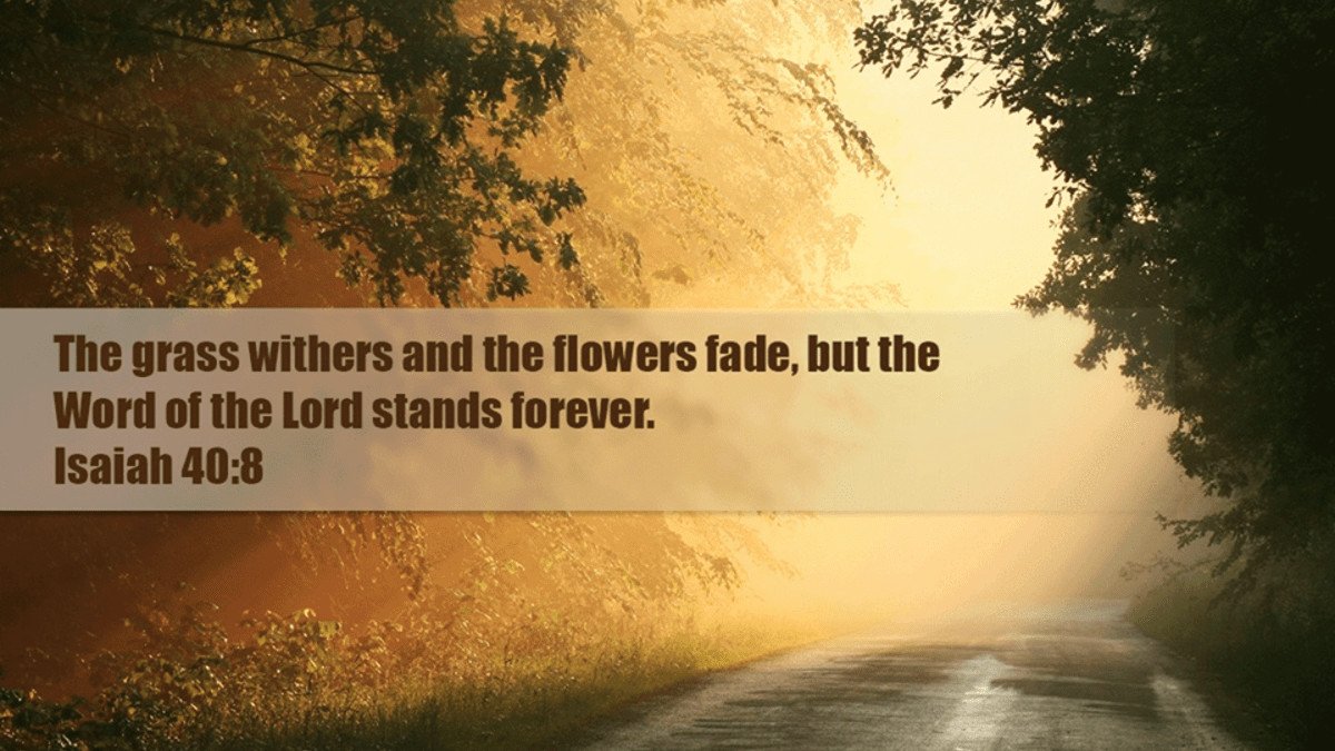 JD Wyatt – The word of God stands forever!